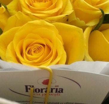 Ce efect au pliculetele cu hrana pentru flori