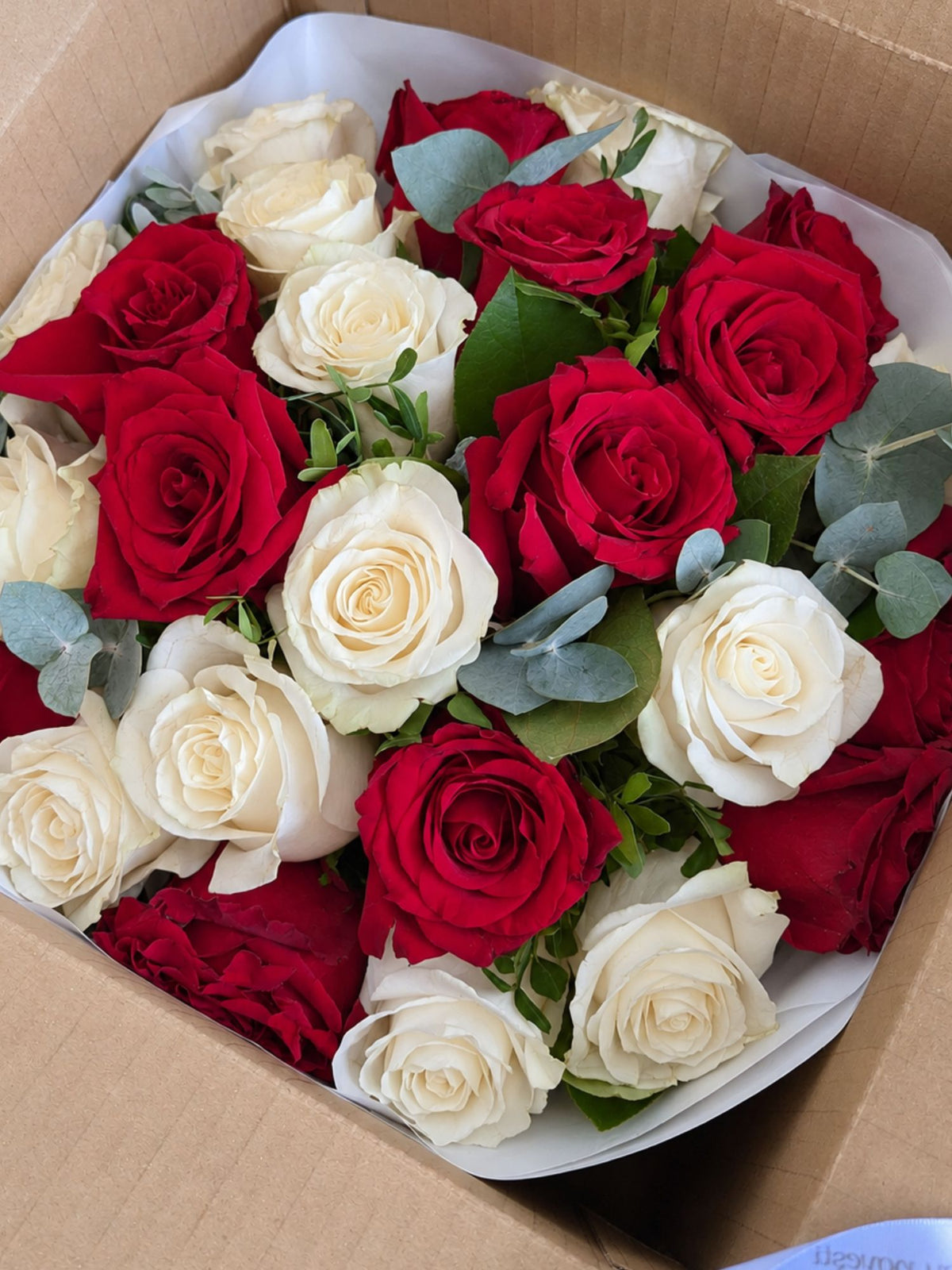 Buchet 25 trandafiri albi si rosii