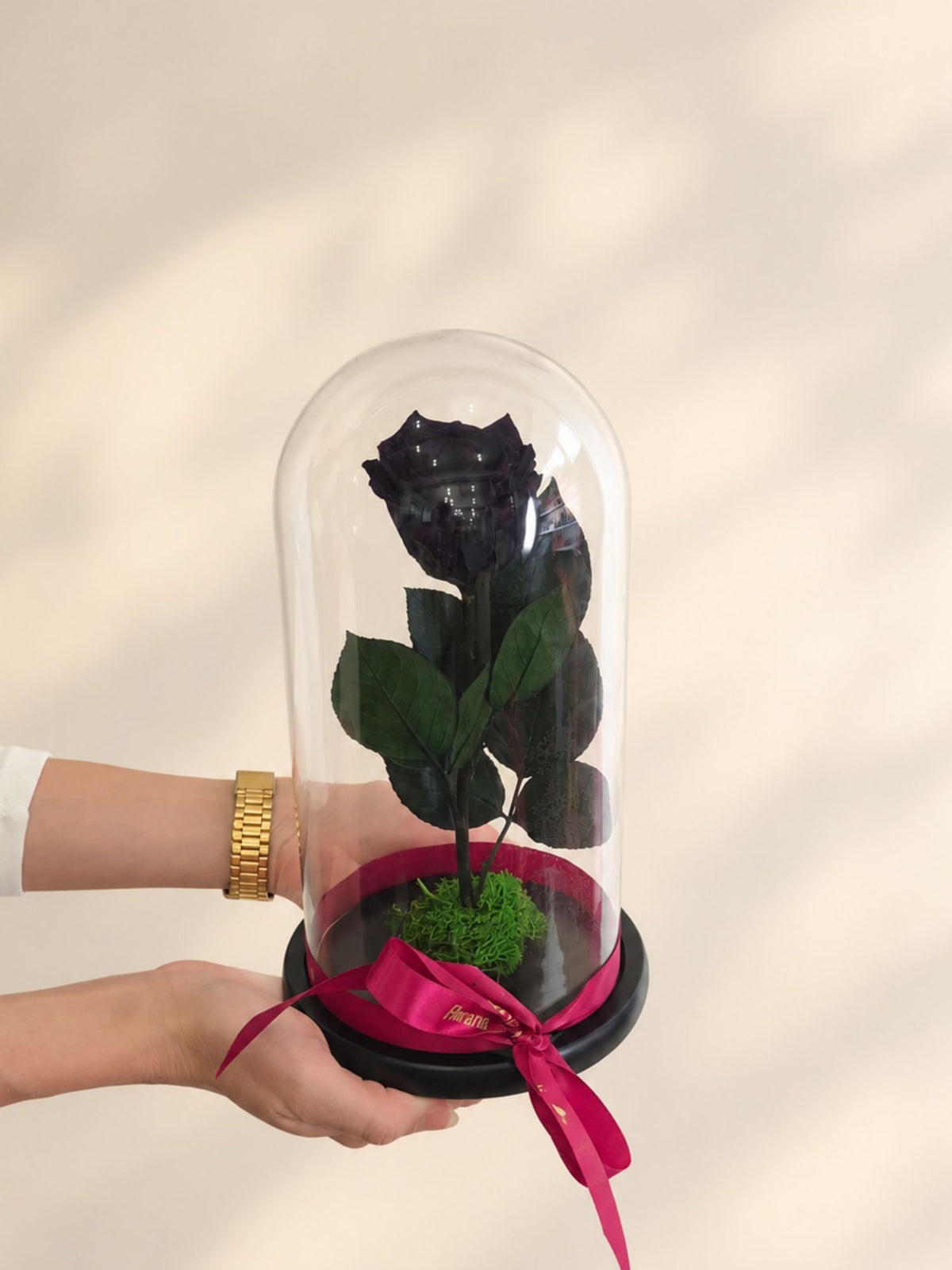 Trandafir Nemuritor Belle Rose Negru