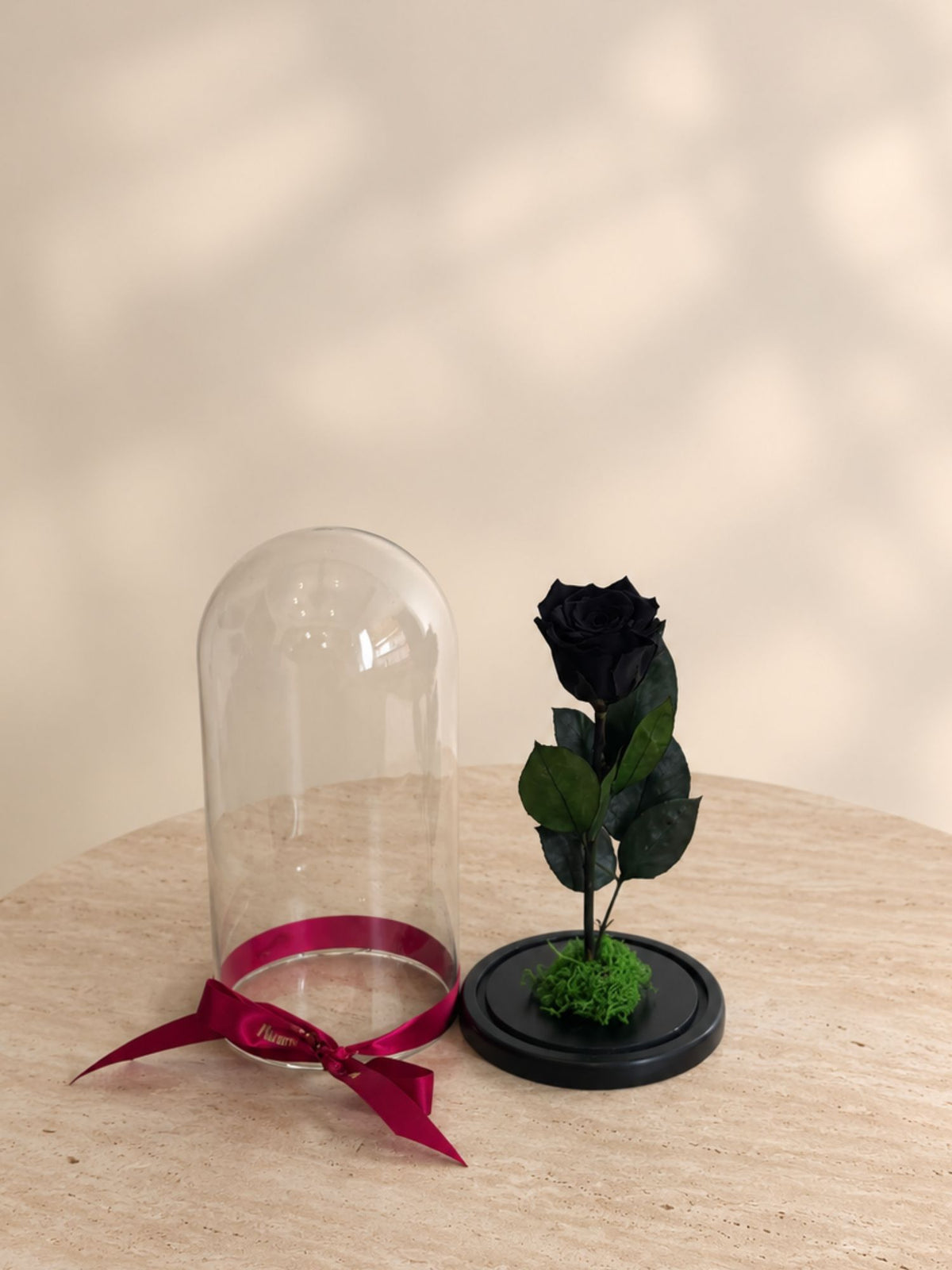 Trandafir Nemuritor Belle Rose Negru