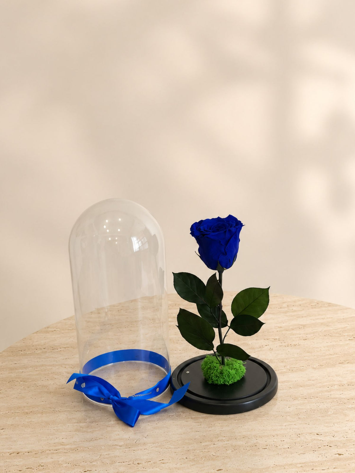 Trandafir Nemuritor Belle Rose Albastru