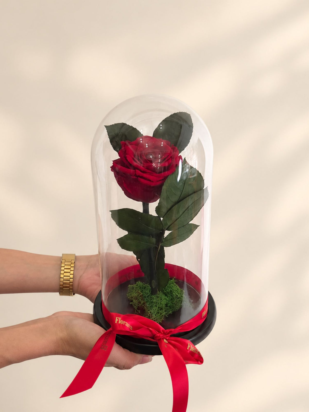 Trandafir Nemuritor Belle Rose Roșu
