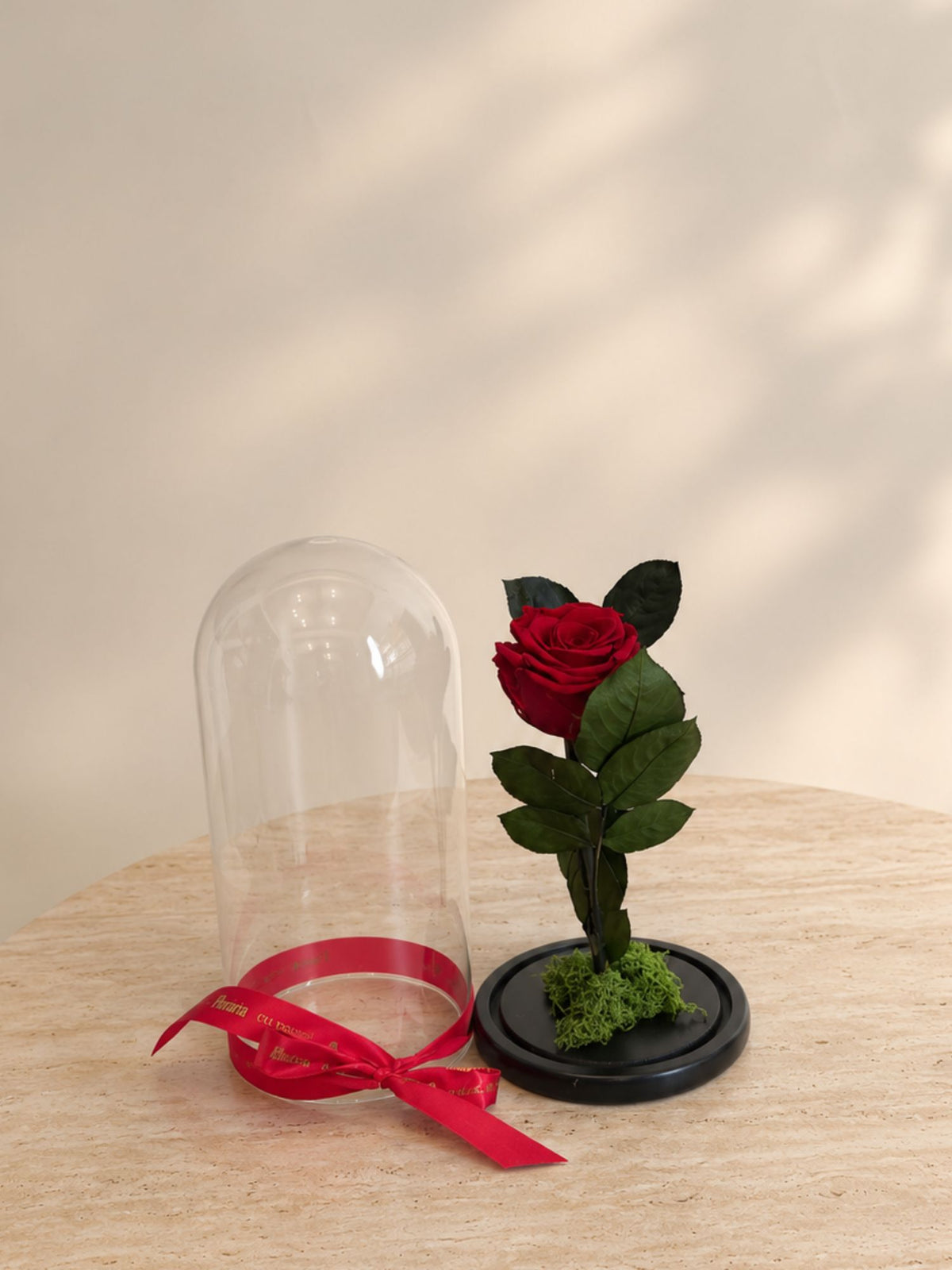 Trandafir Nemuritor Belle Rose Roșu