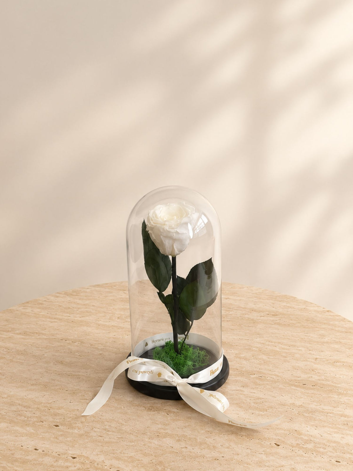 Trandafir Nemuritor Belle Rose Alb