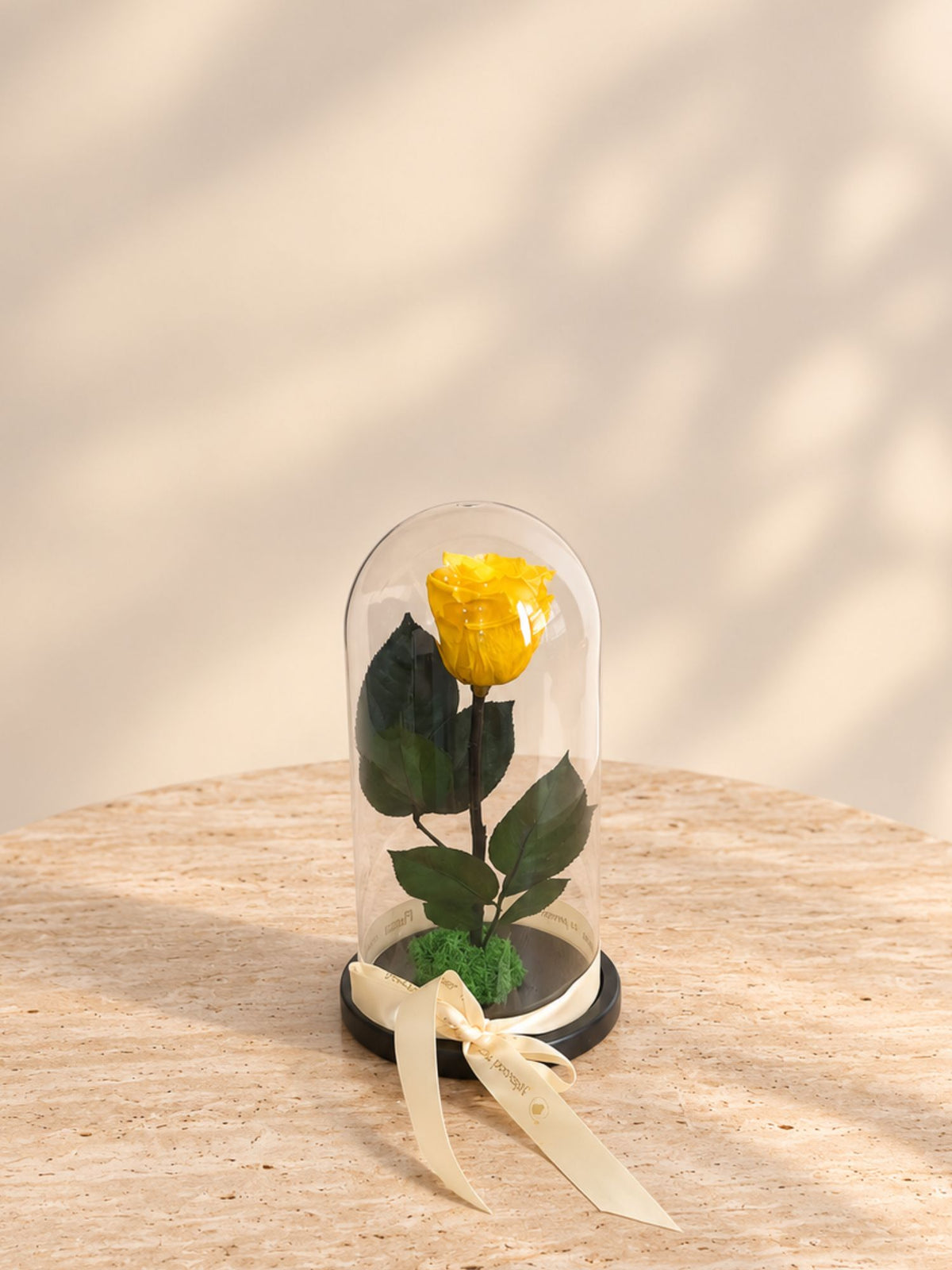 Trandafir Nemuritor Belle Rose Galben