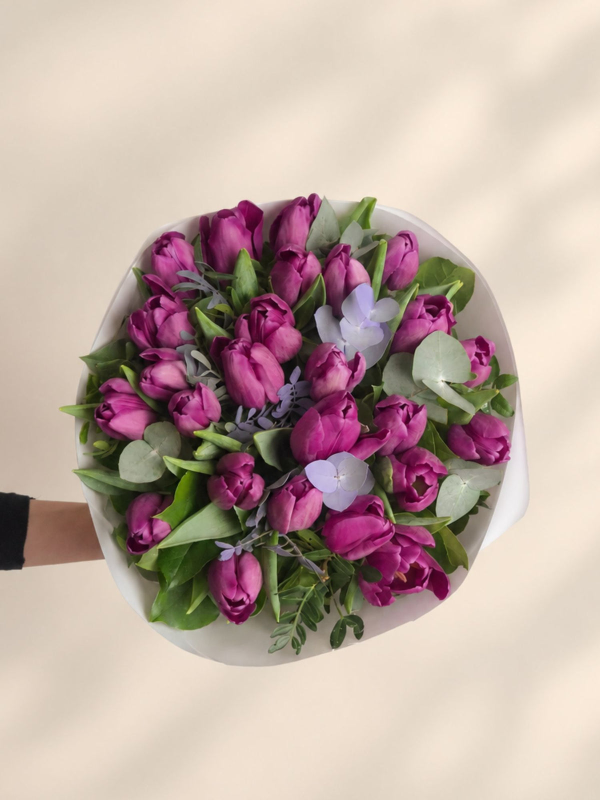 Buchet 25 lalele mov