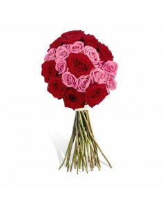 Buchet 19 trandafiri rosii si roz