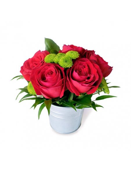 Petite Jolie - Galetusa trandafiri rosii