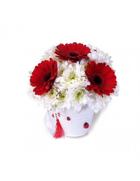 Aranjament 1 Martie cu crizanteme albe si gerbera