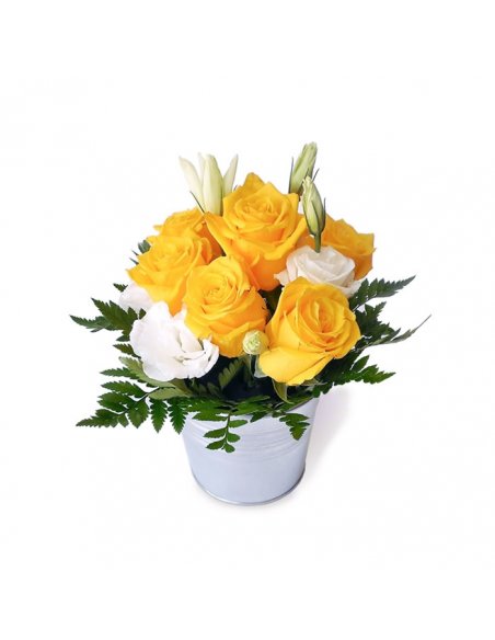 Galetusa trandafiri galbeni