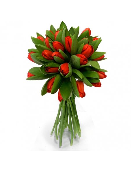 Buchet 25 lalele rosii * Florarie online