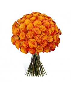 SPECIALS Buchet 49 trandafiri 