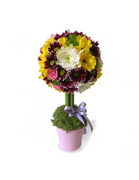 Petite Jolie - Copacel din flori