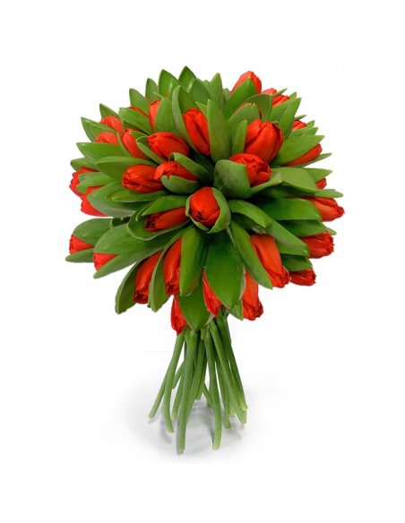 Buchet 49 lalele rosii