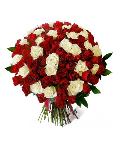 SPECIALS - Buchet 101 trandafiri albi si rosii