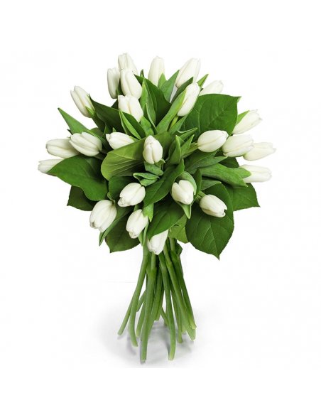 Buchet 25 lalele albe