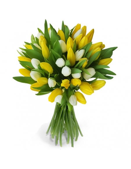 Buchet 49 lalele galbene si albe