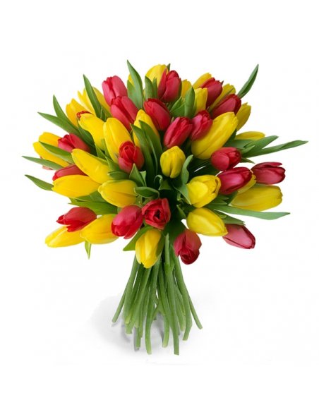 Buchet 49 lalele galbene si rosii