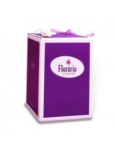 Buchet cu trandafiri lila si roz, crizanteme si miniconifere 2