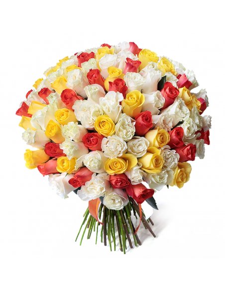 Buchet 101 trandafiri albi galbeni si portocalii
