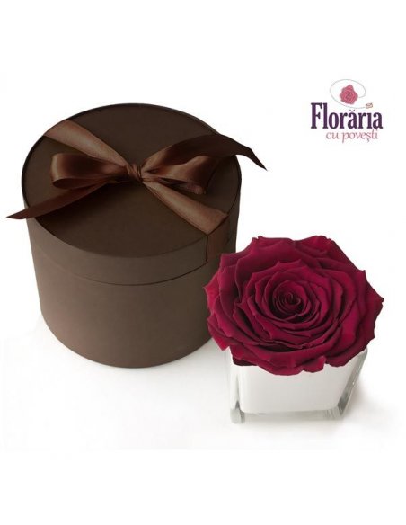SPECIALS Trandafir nemuritor rosu grena