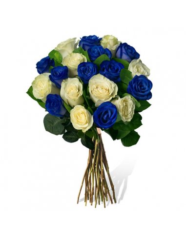 SPECIAL - Buchet 19 trandafiri albi si albastri