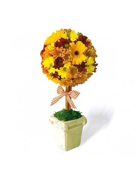 Copacel de toamna - Petite Jolie