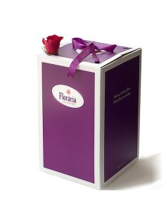 Buchet 19 trandafiri rosii 2