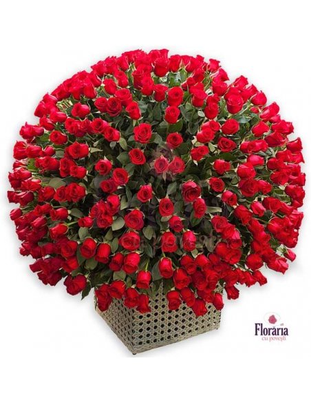 SPECIALS - Aranjament cu 500 trandafiri rosii