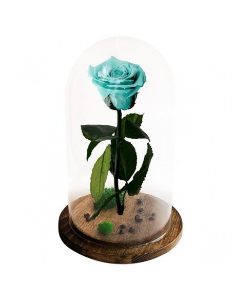 Trandafir nemuritor Belle Rose galben