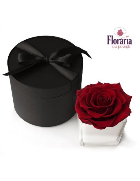 SPECIALS Trandafir nemuritor rosu