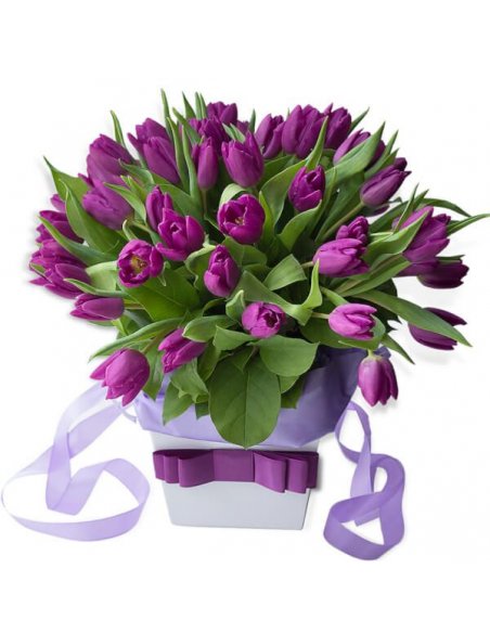 Buchet 49 lalele mov