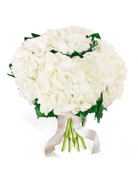 Buchet 5 hortensii albe