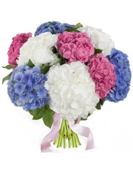 Buchet 7 hortensii asortate