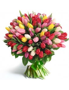 Buchet 101 lalele asortate