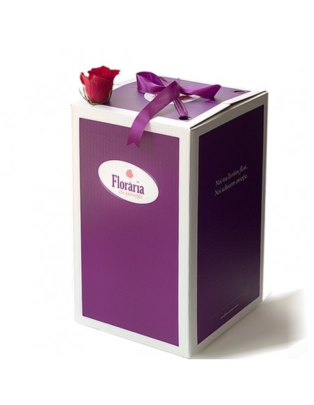 Buchet 15 gerbera asortate