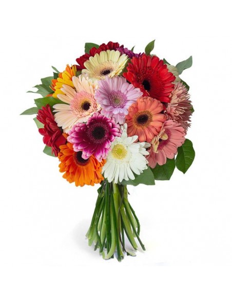 Buchet 15 gerbera asortate