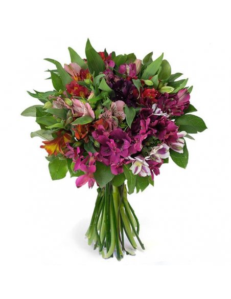 Buchet 15 crini peruvieni asortati