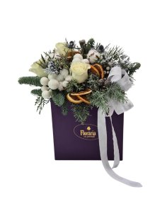 Cutia Magica De Iarna