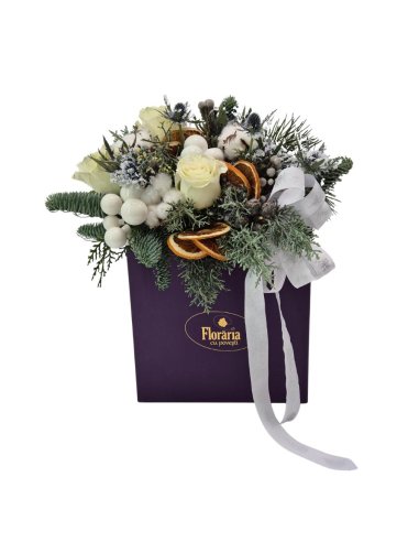 Cutia Magica De Iarna