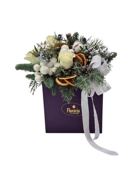 Cutia Magica De Iarna