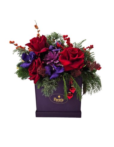 Cutie Festiva- Royal Glitter