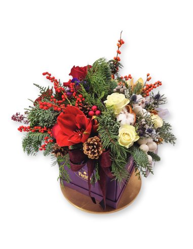 Cutie Festiva- Royal Glitter