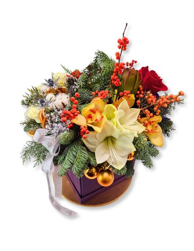 Cutie Festiva- Royal Glitter