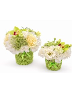 Aranjamente Mama-Fiica