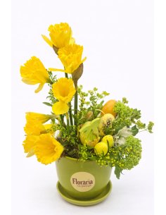 Esență de Primăvară