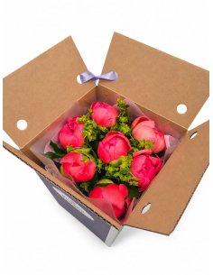 Buchet 7 bujori corai