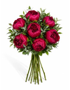 Buchet 7 bujori grena