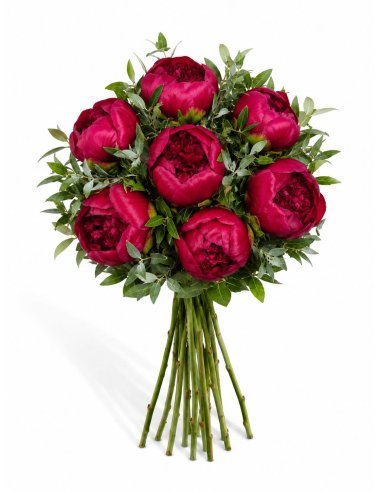 Buchet 7 bujori grena