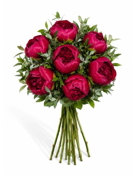Buchet 7 bujori grena